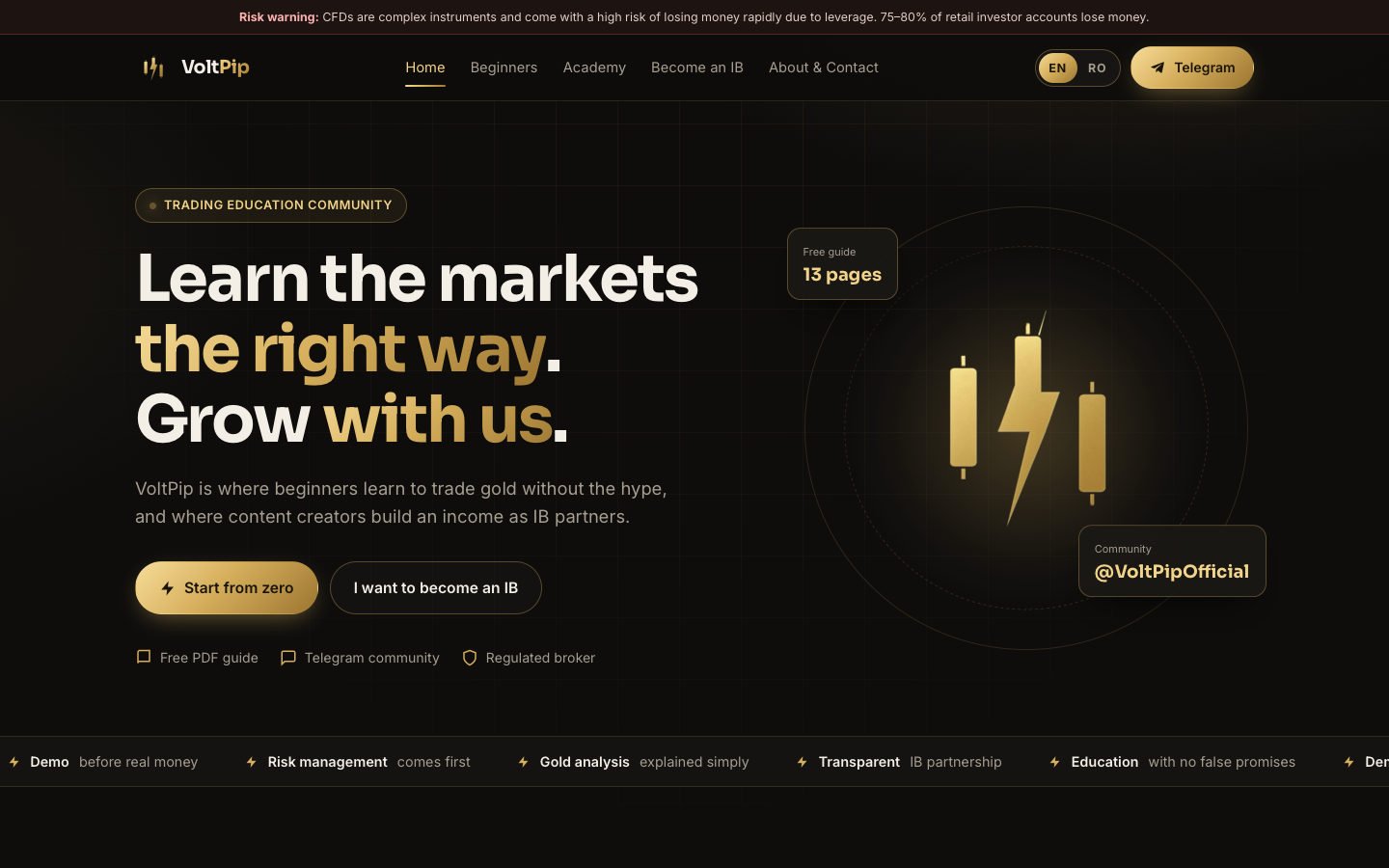 Previzualizare: prima pagină a site-ului VoltPip